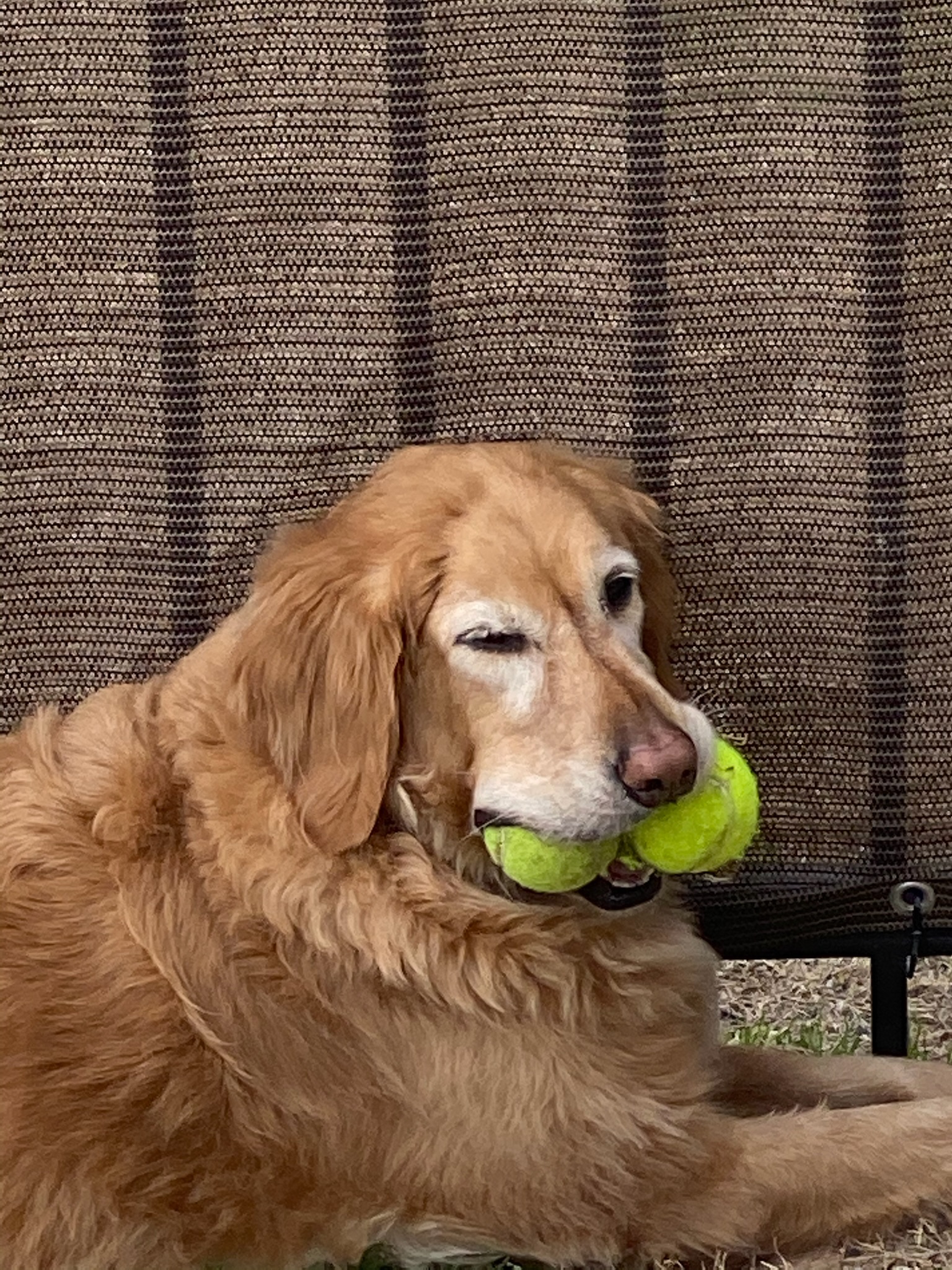 Louie memory